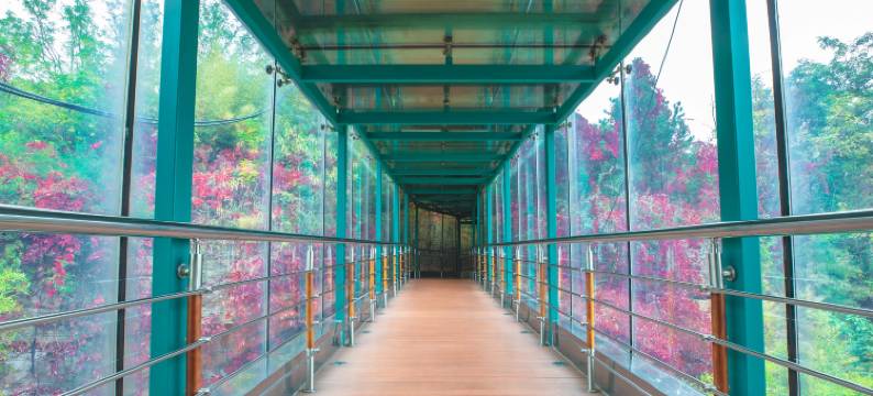 济南园博园度假酒店图片