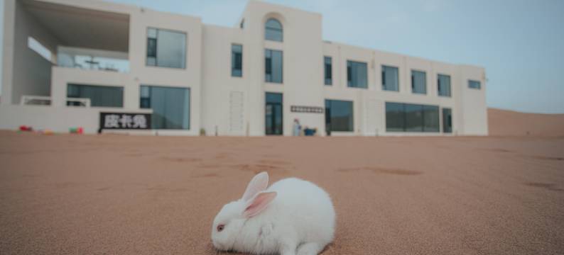 皮卡兔沙漠星空亲子民宿图片