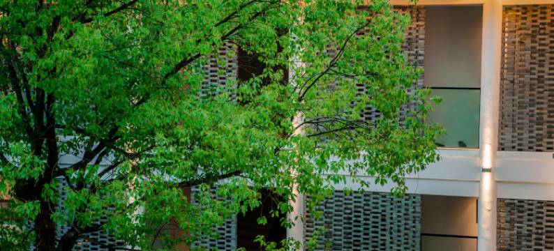 景德镇云居酒店(中国陶瓷博物馆店)图片