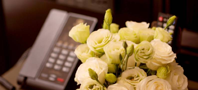 海容大酒店(郑州高铁东站郑东万象城店)图片