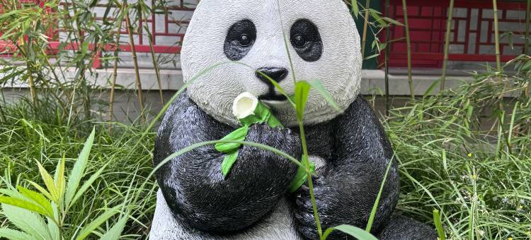 花筑·北京仁和轩公寓酒店(北师大积水潭店)图片