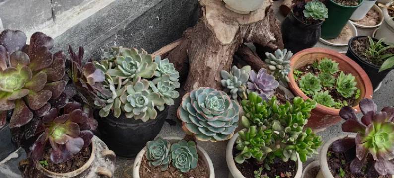 易途山水·Relax time·影音小院(大理古城南门店)图片