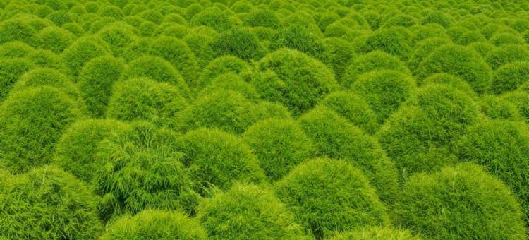 和静泓祥酒店(和静县县政府店)图片