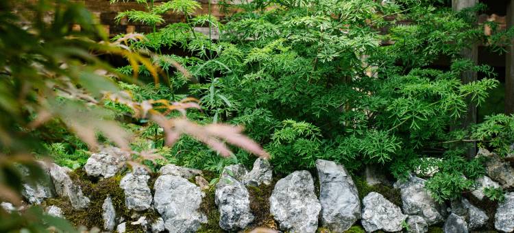 酉阳花田∙悦涧里图片