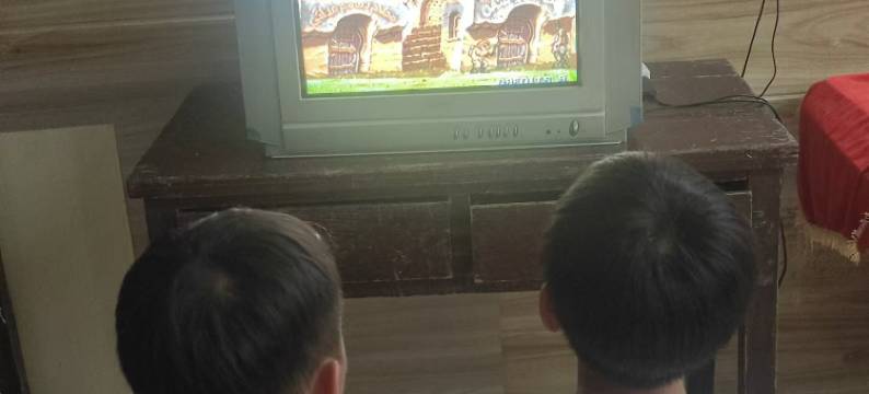 仙居竹香雅舍图片