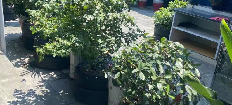 平昌君悦酒店图片