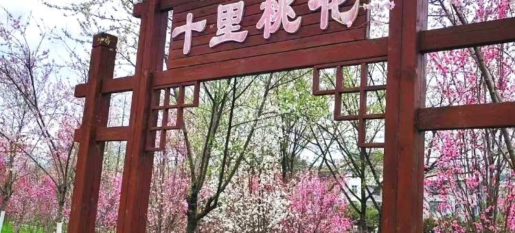都市花园酒店(汉中宁强中心广场三角洲夜市店)图片