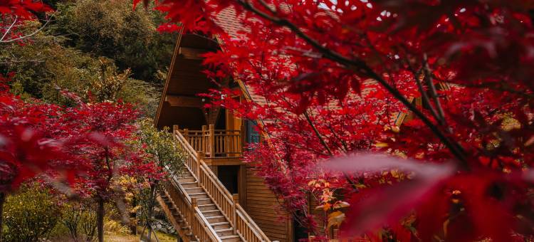 华美达温泉度假酒店(古尔沟旅游度假区店)图片