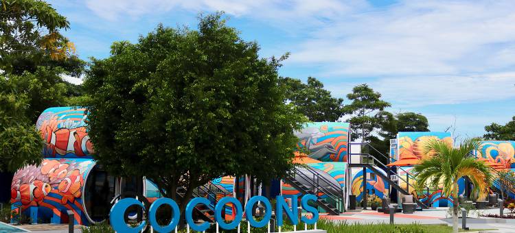 莱亚科库恩斯俱乐部酒店(Cocoons Club Laiya)图片