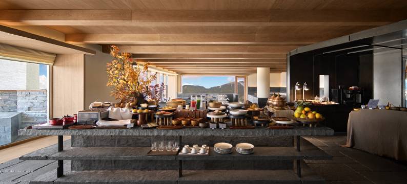 德钦梅里泊度酒店图片