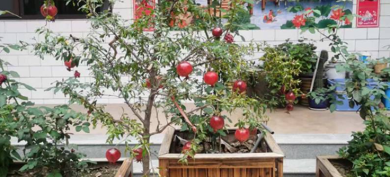 灵石温馨之家民宿图片