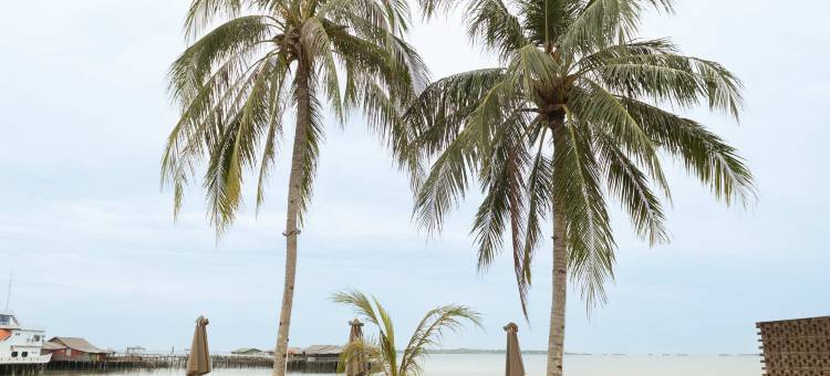 萨迪海滩别墅(Sadi Beach House)图片