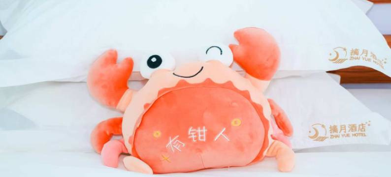 大理摘月酒店(大理高铁站洱海公园店)图片