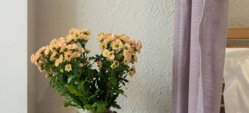 尚优居客栈(大理古城洋人街店)图片