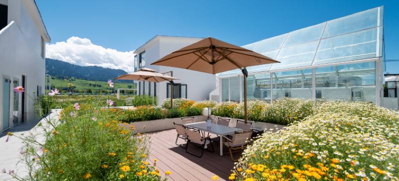 那拉提闲窗云影山景民宿图片