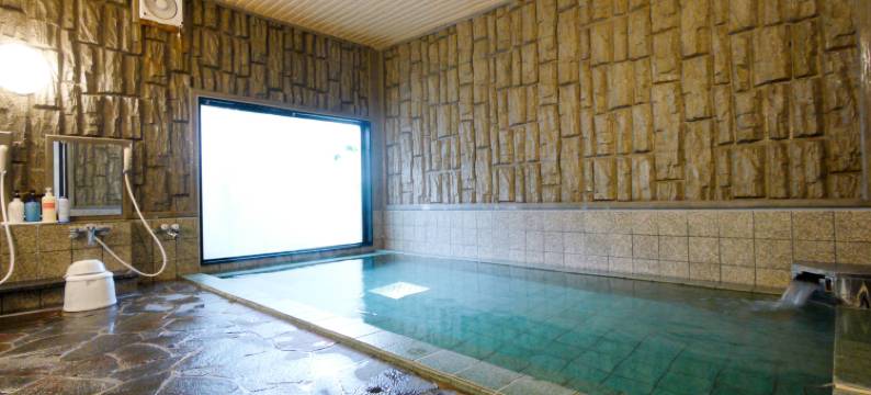 露樱酒店秋田土崎店(Hotel Route-Inn Akita Tsuchizaki)图片