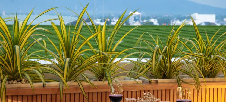 美利亚西宁珍珠酒店(Melia Vinpearl Tay Ninh)图片