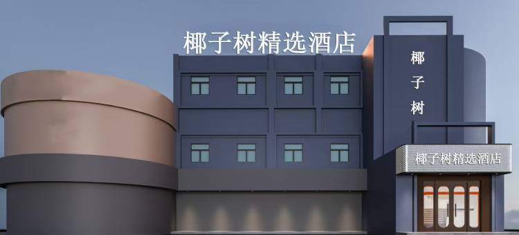 合肥椰子树酒店(合肥高铁南站罍街店)图片