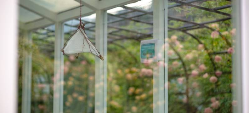 张家界望云居民宿(国家森林公园标志门店)图片