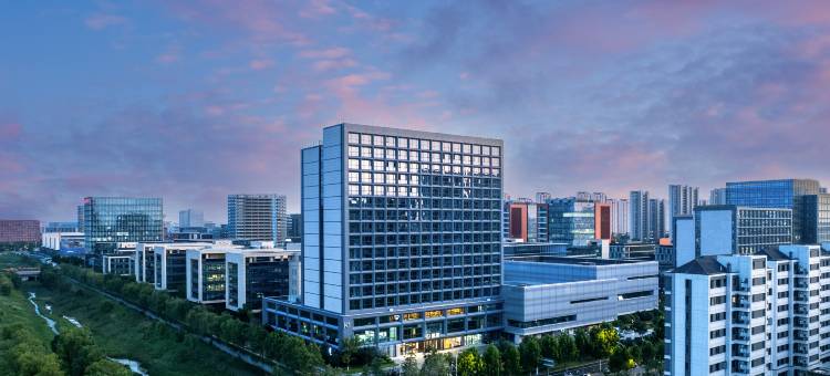 合肥高新中安创谷同派酒店图片