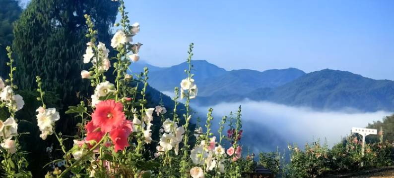 千岛湖典藏养云间度假村图片