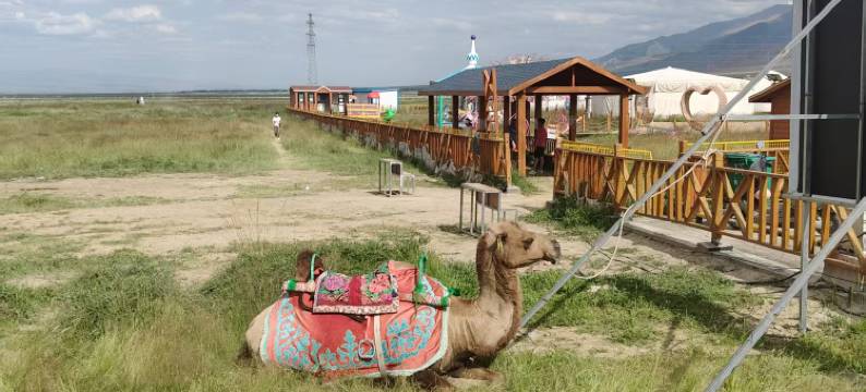 巴里坤玖居民宿图片