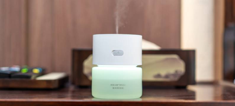 柏华酒店(石化大道天鹅湖店)图片