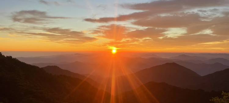 九华山六如·云见花园民宿(九华街肉身宝殿店)图片