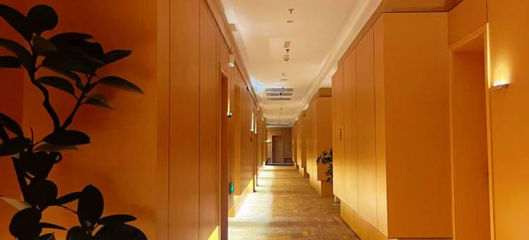 金罗马第五季酒店图片