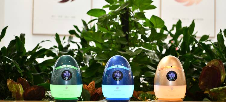 如家商旅酒店(成都文殊院人民北路地铁站店)图片