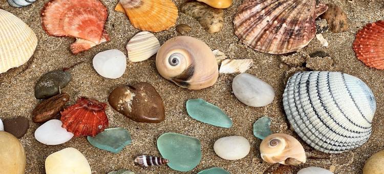 荣成成山头西霞口动物园丽呈睿轩酒店图片