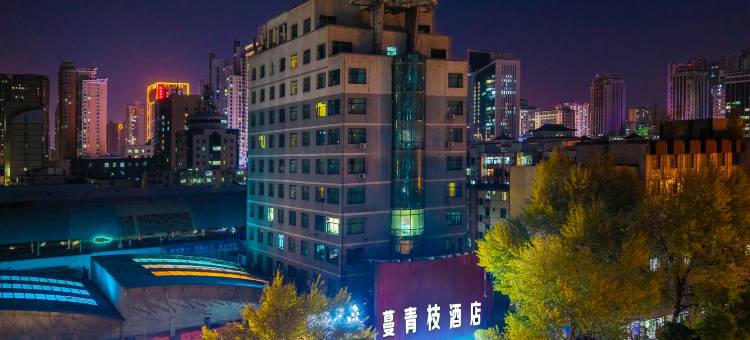 西宁蔓青枝酒店(西宁力盟步行街省博物馆店)图片