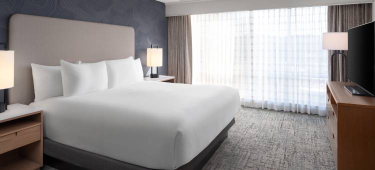 南纳什维尔库尔斯普林斯希尔顿安泊酒店(Embassy Suites by Hilton Nashville South Cool Springs)图片