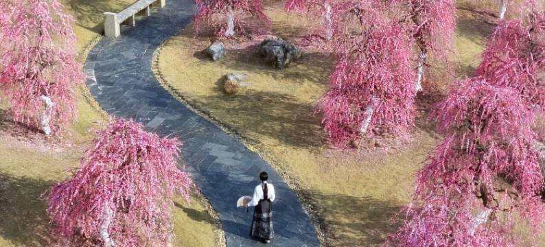 婺女洲度假区无梦湖畔酒店图片