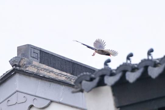 宜兴龙隐溪山酒店图片