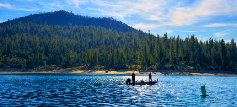 松之林度假酒店(The Pines Resort)图片