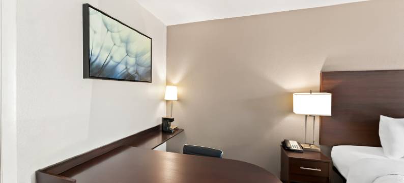 马斯尔肖尔斯红屋顶酒店(Red Roof Inn Muscle Shoals)图片