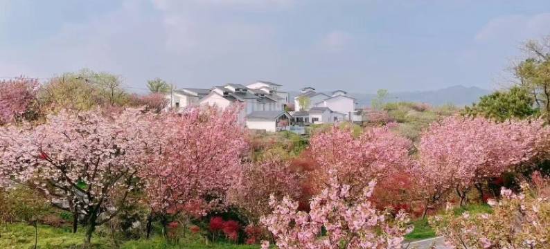 大乐之野·谷舍(余姚店)图片