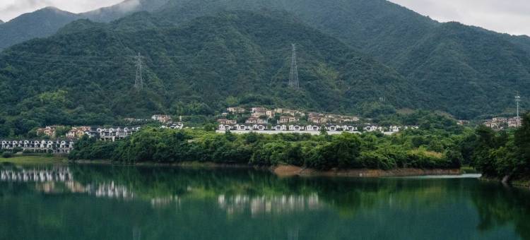 忆庐境别墅(桐庐大奇山度假区店)图片