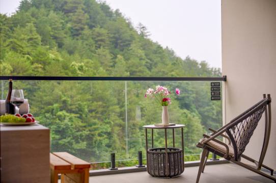 广元伴山隐谷·Wild Valley森氧私汤民宿图片