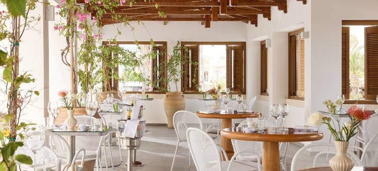 格雷科泰尔大莱奥尼基公寓(Grecotel Casa Adele)图片