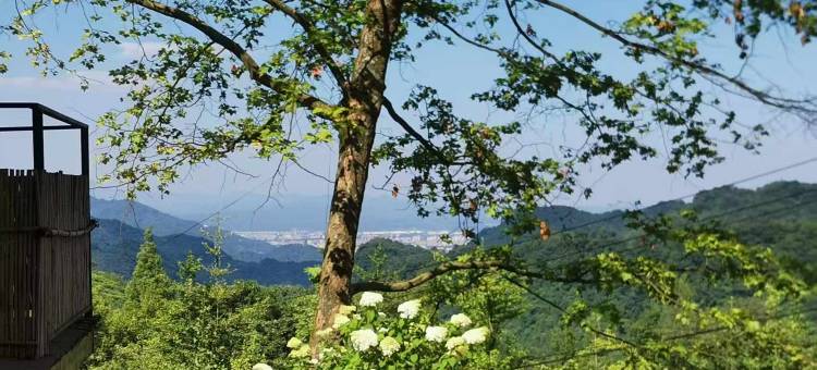 都江堰虚度时光民宿图片