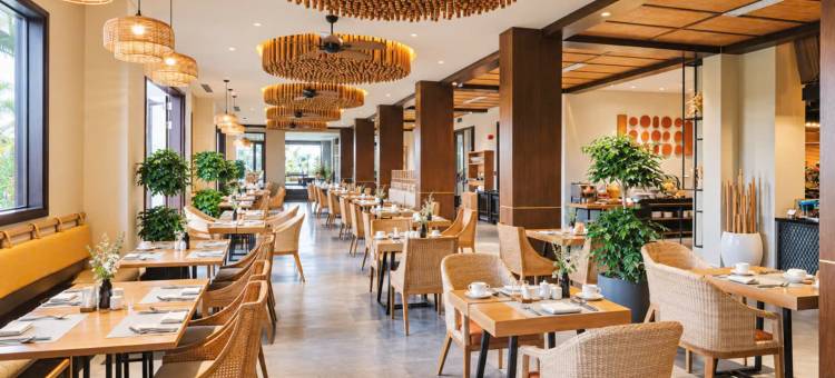 小绿洲豪华水疗酒店(Little Oasis - An Eco Friendly Hotel & Spa)图片