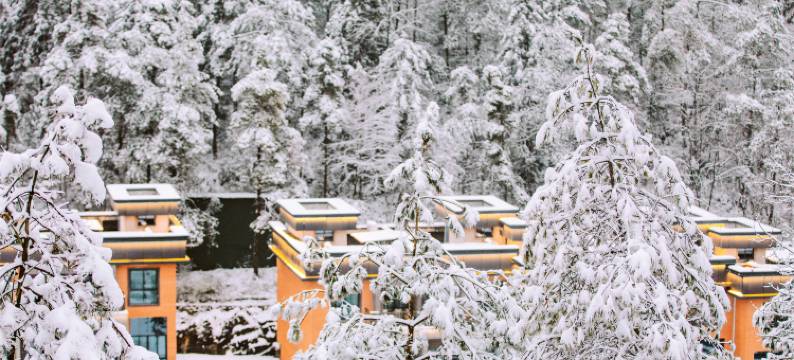 酉阳桃花源森林酒店图片