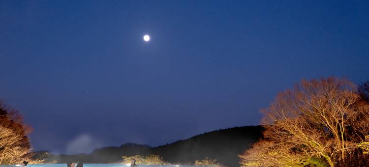 生态乐园酒店(Ecoland Hotel)图片