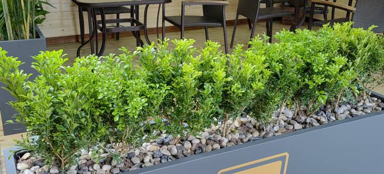 7天酒店(龙岩动车站中山路步行街店)图片