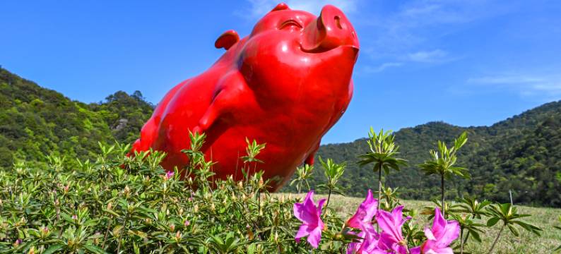 宁海兰亭温泉艺术酒店图片