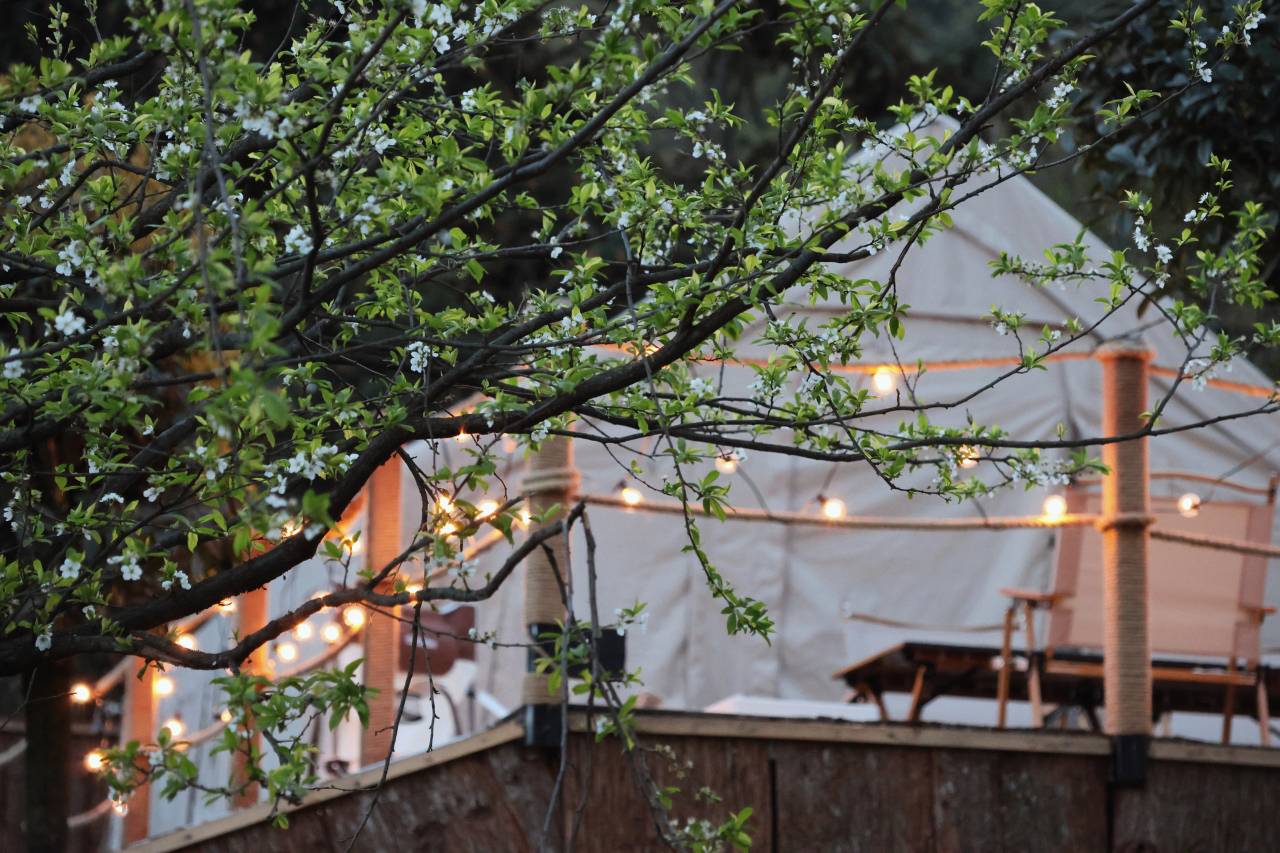 崇州一道青城·camping山野私汤民宿图片