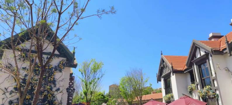 抚仙湖不远半山民宿图片