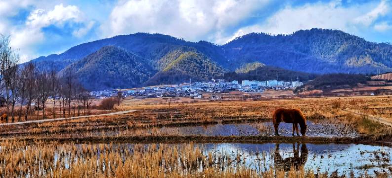 伴山轻奢民宿图片